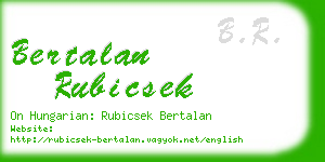 bertalan rubicsek business card